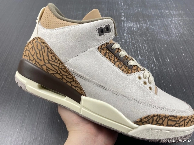 Rep CT8532-102 Jordan Palomino Air 3 0821